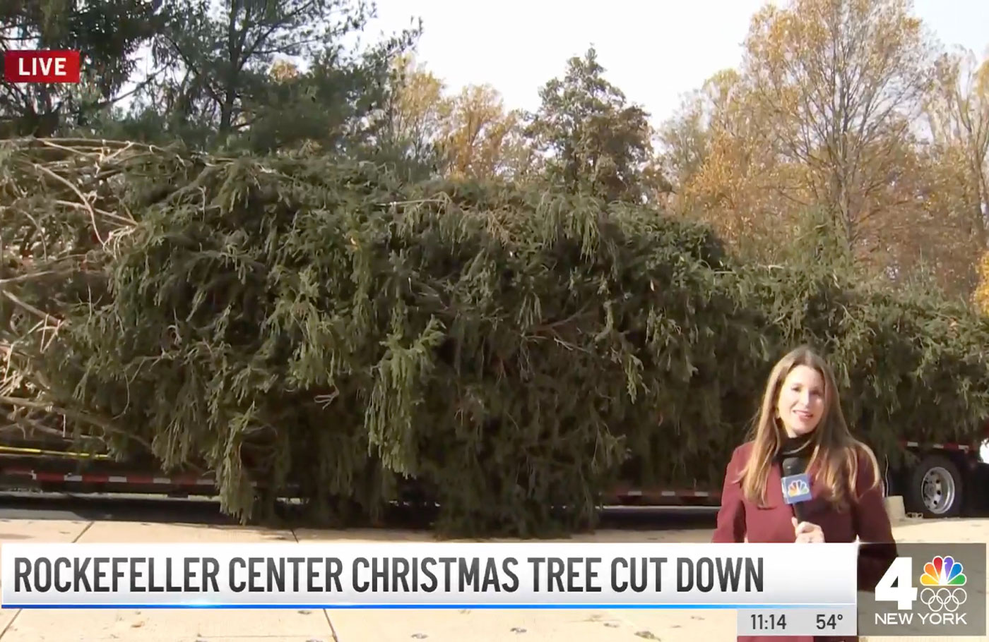 Jen Maxfield reports: First They Said No Way — Now Rock Center Tree Donated by Md. Family Heads for NYC