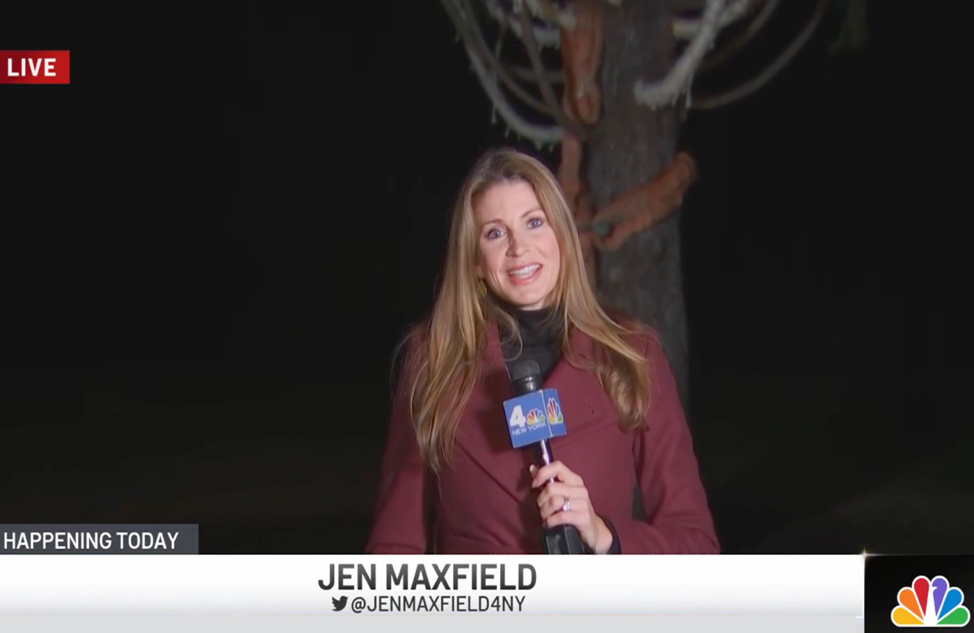 Jen Maxfield reports: How 2021 Rockefeller-Center-Christmas Tree Was Picked
